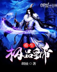 重生极品皇帝